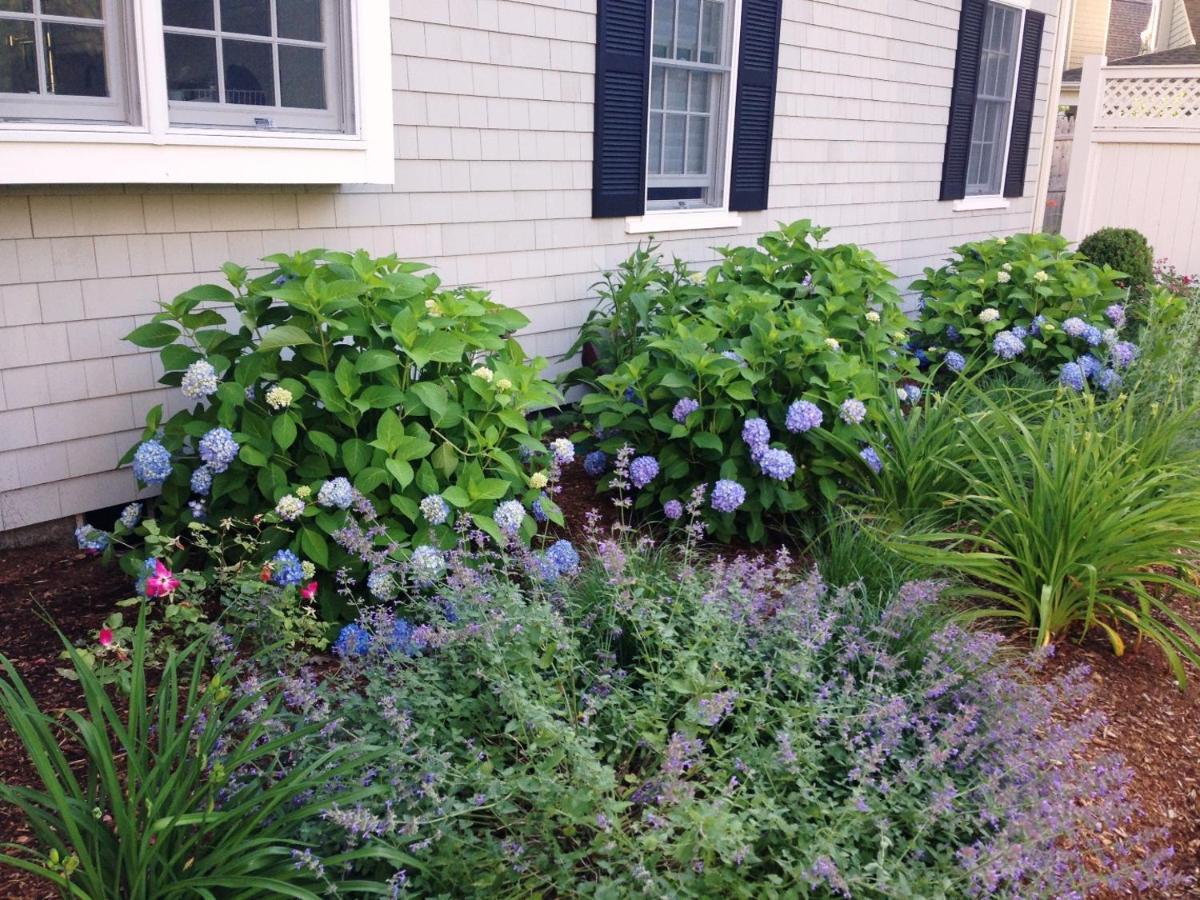161 Bay Lane Centerville Cape Cod - Bay Breeze Dış mekan fotoğraf